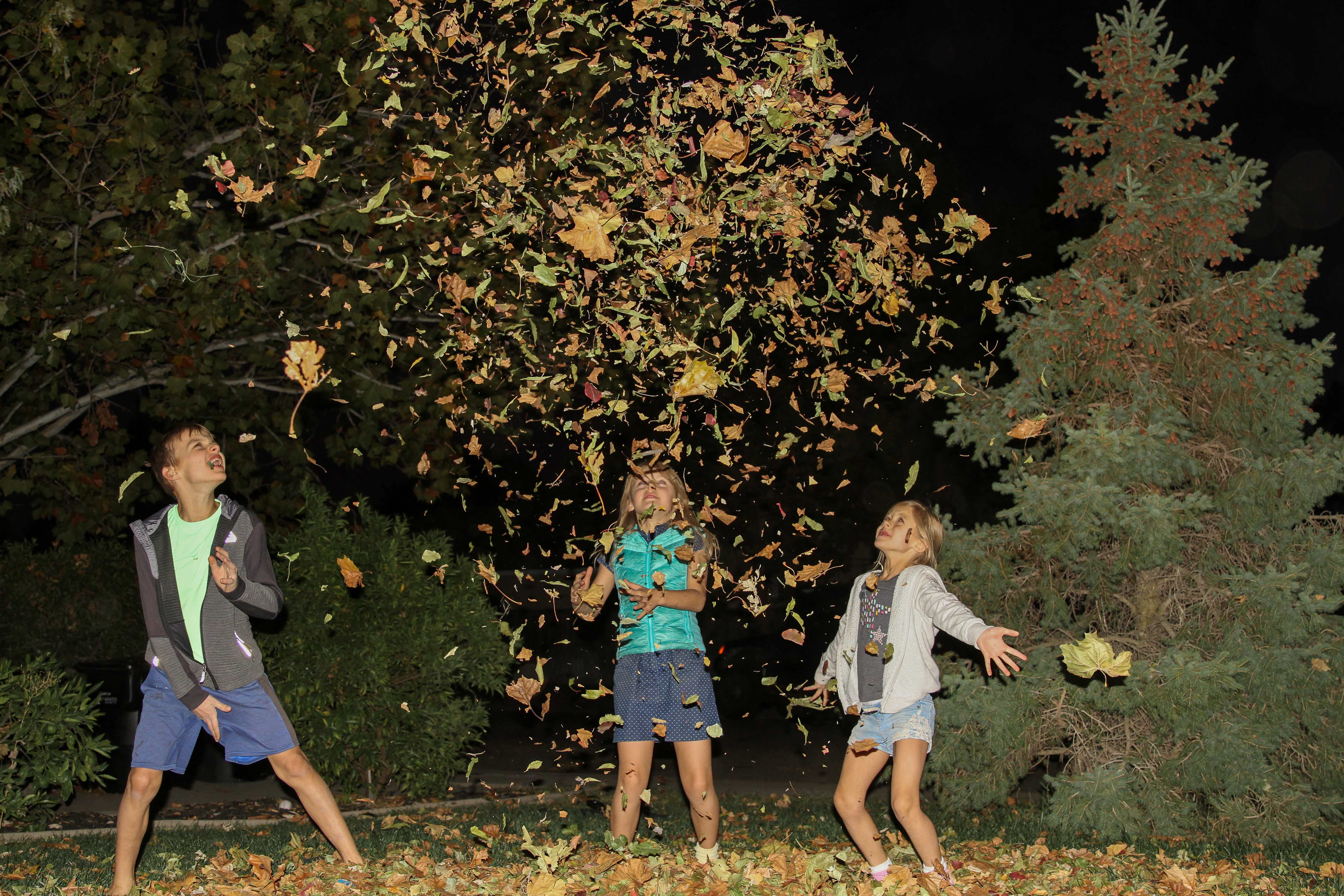 kids throwing leaves into air