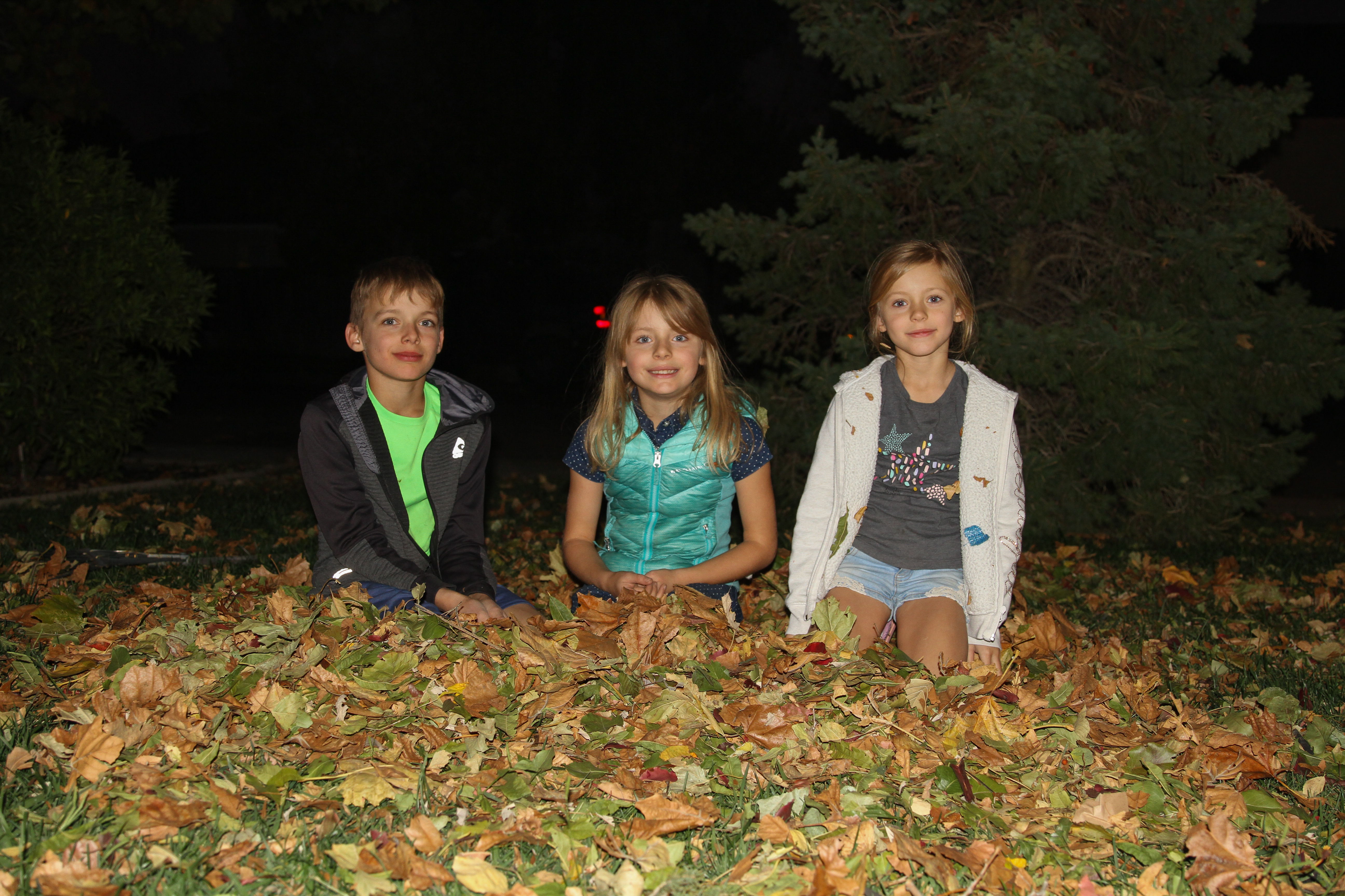 kids sitting in leaves 